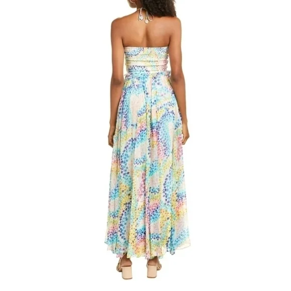 Rococo Sand Okimi Halter Maxi Dress - Picture 3 of 10